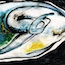 image08